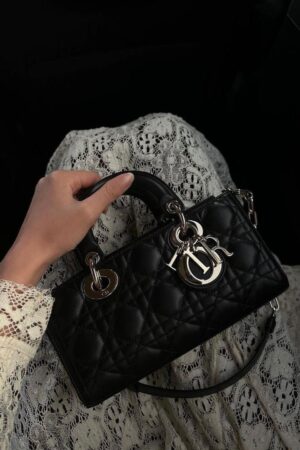 Lady handbag